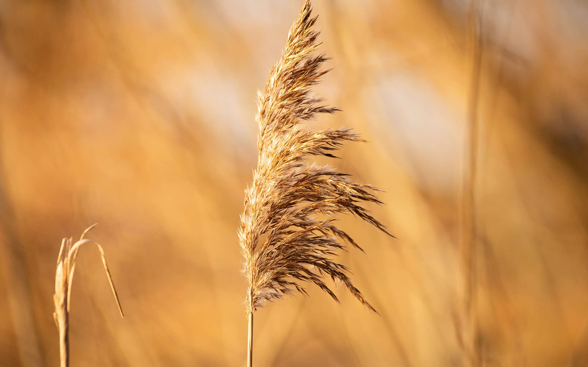 NaturPur! am Sonnensee